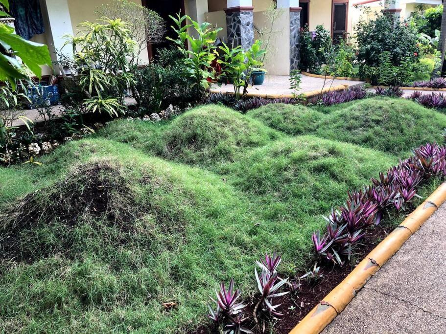 Alona Park Residence - 3 Bedroom Apartment- Alex And Jesa Unit Panglao Island Exterior photo
